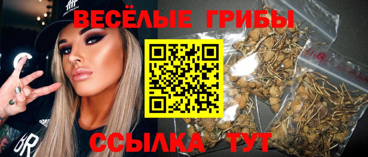 Миасс  Галлюциногенные грибы Psilocybe  купить наркотики цена  Вход с VPN 